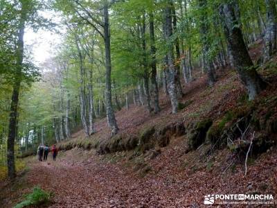 Yacimientos Atapuerca - Sierra de la Demanda; viajar solo grazalema camino